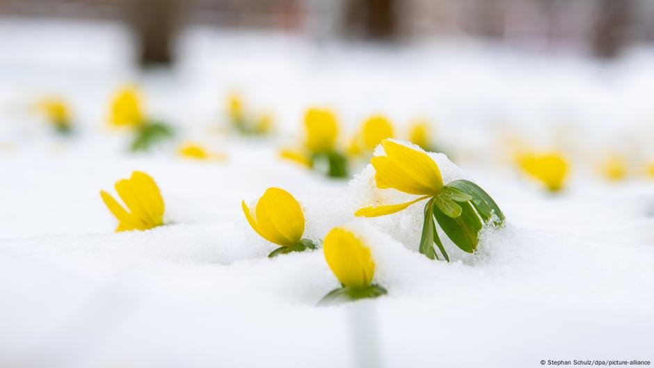 Deutschland-erlebte-milden-Winter-ohne-Brutto-Winter-DW.jpg